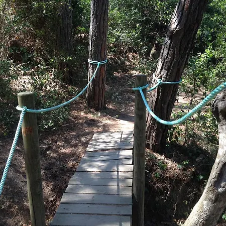 Gran Reymar 4 Sup Tossa de Mar