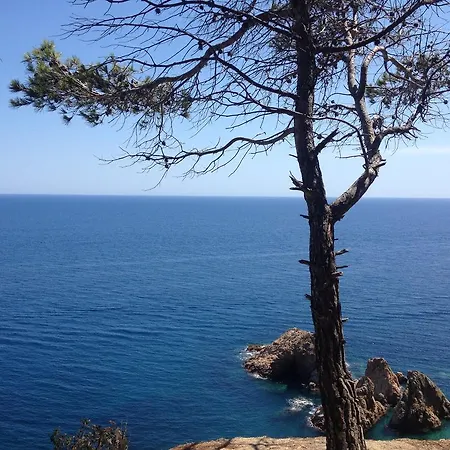 Hotel Gran Reymar 4 Sup Tossa de Mar