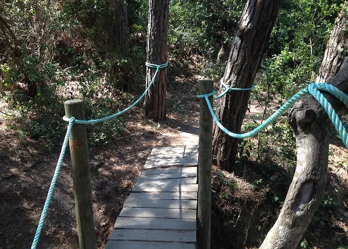 Gran Reymar 4 Sup Tossa de Mar