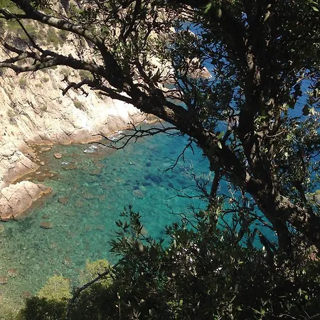 Ξενοδοχείο Gran Reymar 4 Sup