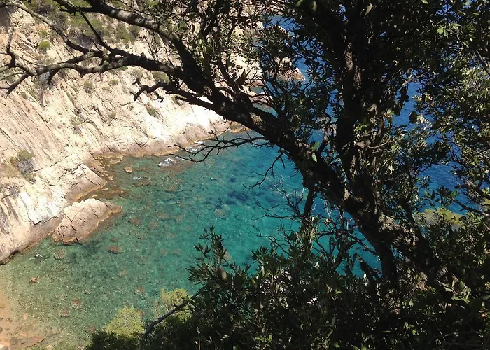 酒店 Gran Reymar 4 Sup