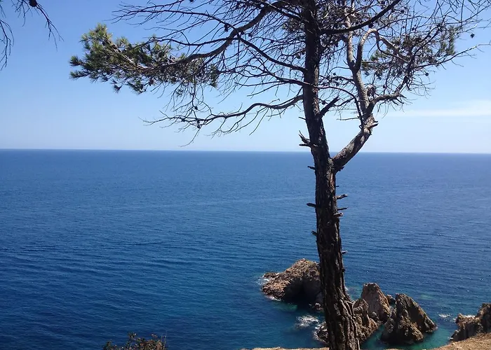 Ξενοδοχείο Gran Reymar 4 Sup Τόσα ντε Μαρ